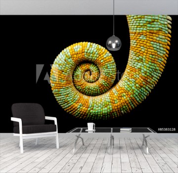 Picture of A curled up tail of a yemen chameleon isolated on a black background